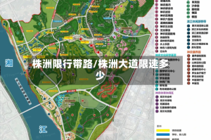 株洲限行带路/株洲大道限速多少