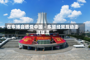 在东博会感受中国－东盟经贸互动澎湃暖流