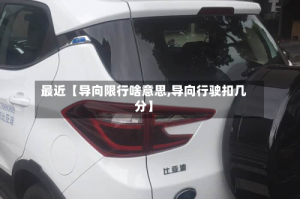 最近【导向限行啥意思,导向行驶扣几分】