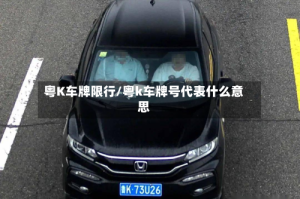 粤K车牌限行/粤k车牌号代表什么意思