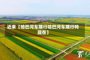 近来【哈巴河车限行哈巴河车限行吗现在】