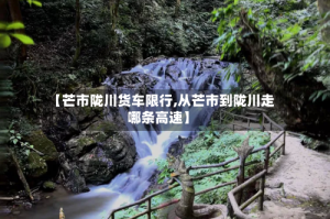 【芒市陇川货车限行,从芒市到陇川走哪条高速】