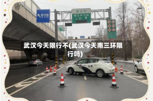 武汉今天限行不(武汉今天南三环限行吗)