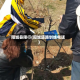 阳城县限行(阳城道路划线电话)