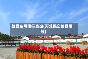 雄县车号限行查询(河北保定雄县限号)