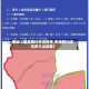 最近【限号限行申请报告,申请限行成功多久出结果】