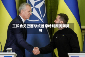王毅会见巴西总统首席特别顾问阿莫林