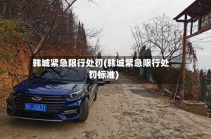 韩城紧急限行处罚(韩城紧急限行处罚标准)