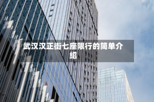 武汉汉正街七座限行的简单介绍