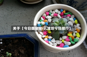 关于【今日魏安限行,潍坊今日限行】