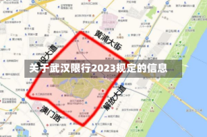 关于武汉限行2023规定的信息