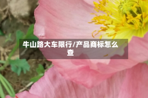 牛山路大车限行/产品商标怎么查