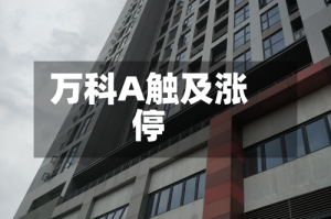 万科A触及涨停