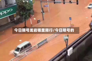 今日限号龙岩哪里限行/今日限号的