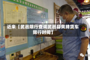 近来【武邑限行查询武邑县黄牌货车限行时间】
