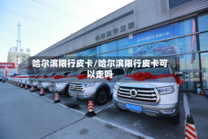 哈尔滨限行皮卡/哈尔滨限行皮卡可以走吗