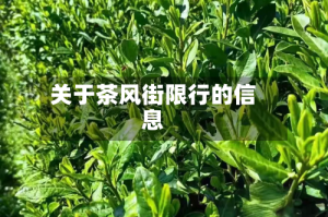 关于茶风街限行的信息