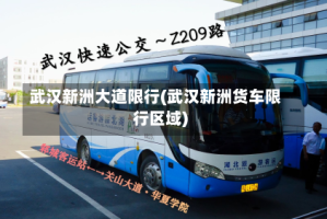 武汉新洲大道限行(武汉新洲货车限行区域)