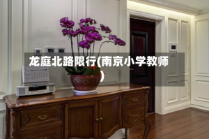 龙庭北路限行(南京小学教师)