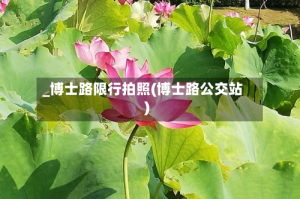 _博士路限行拍照(博士路公交站)