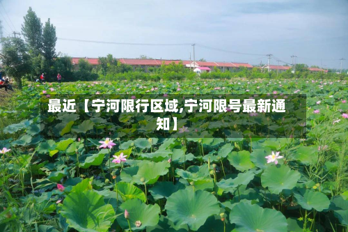 最近【宁河限行区域,宁河限号最新通知】-第1张图片