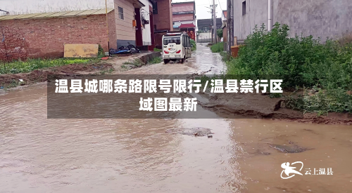 温县城哪条路限号限行/温县禁行区域图最新-第1张图片