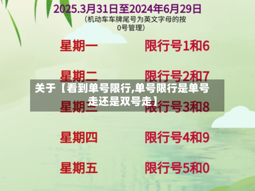 关于【看到单号限行,单号限行是单号走还是双号走】-第1张图片