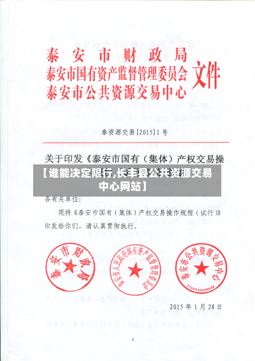 【谁能决定限行,长丰县公共资源交易中心网站】-第3张图片