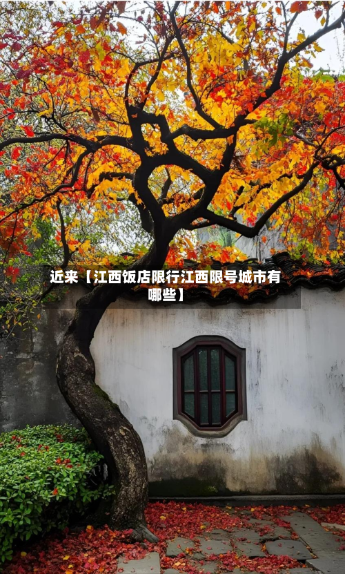 近来【江西饭店限行江西限号城市有哪些】-第2张图片