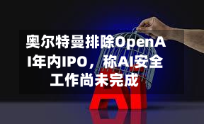 奥尔特曼排除OpenAI年内IPO	，称AI安全工作尚未完成-第3张图片