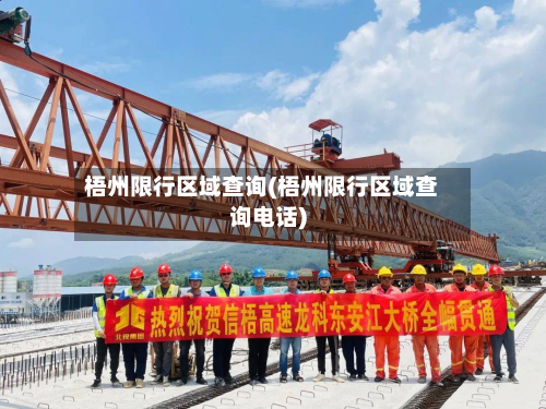 梧州限行区域查询(梧州限行区域查询电话)-第2张图片