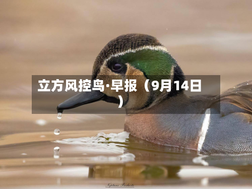 立方风控鸟·早报（9月14日）-第2张图片