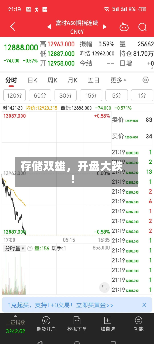 存储双雄，开盘大跌！-第3张图片