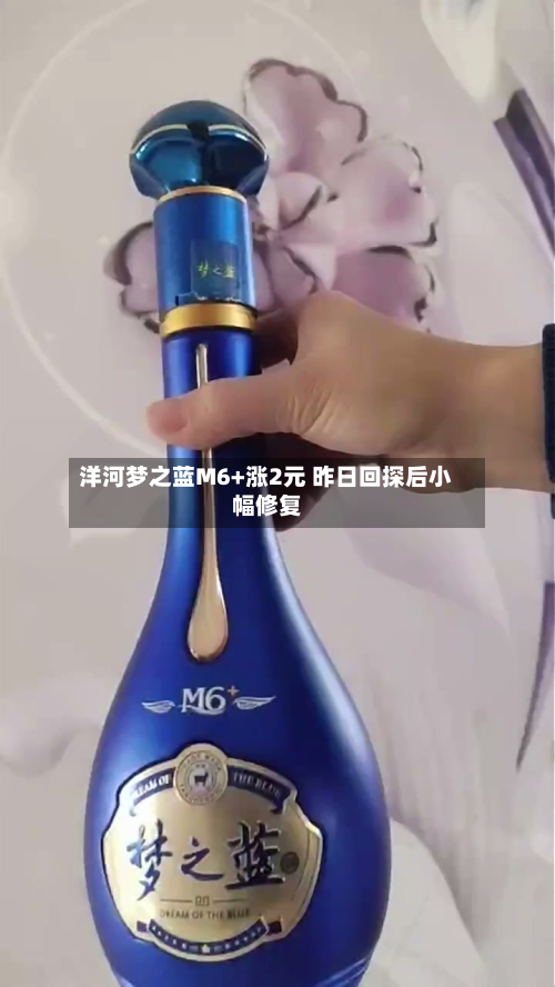 洋河梦之蓝M6+涨2元 昨日回探后小幅修复-第1张图片