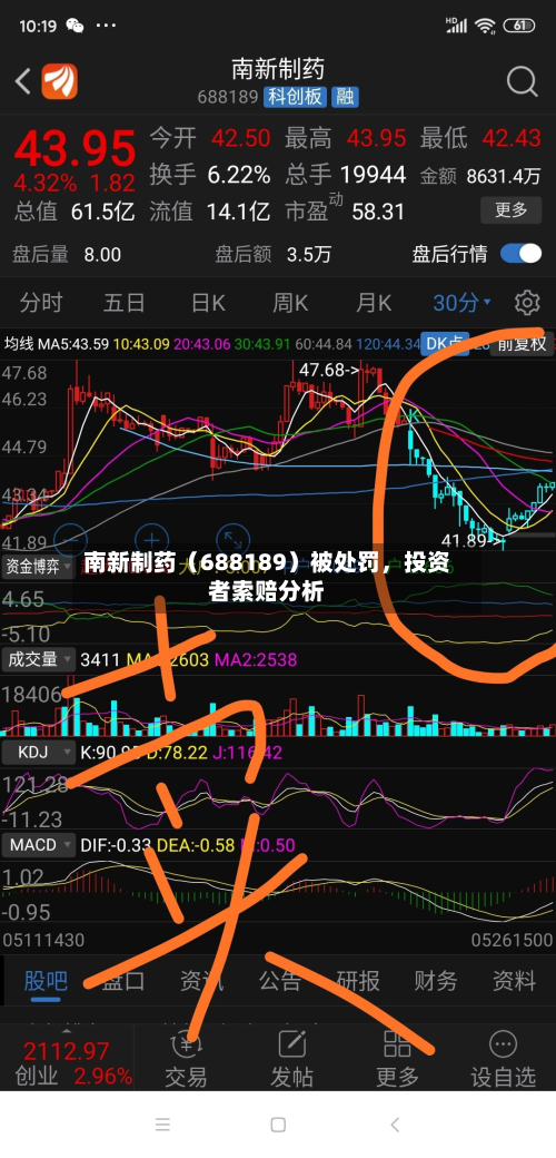 南新制药（688189）被处罚	，投资者索赔分析-第1张图片