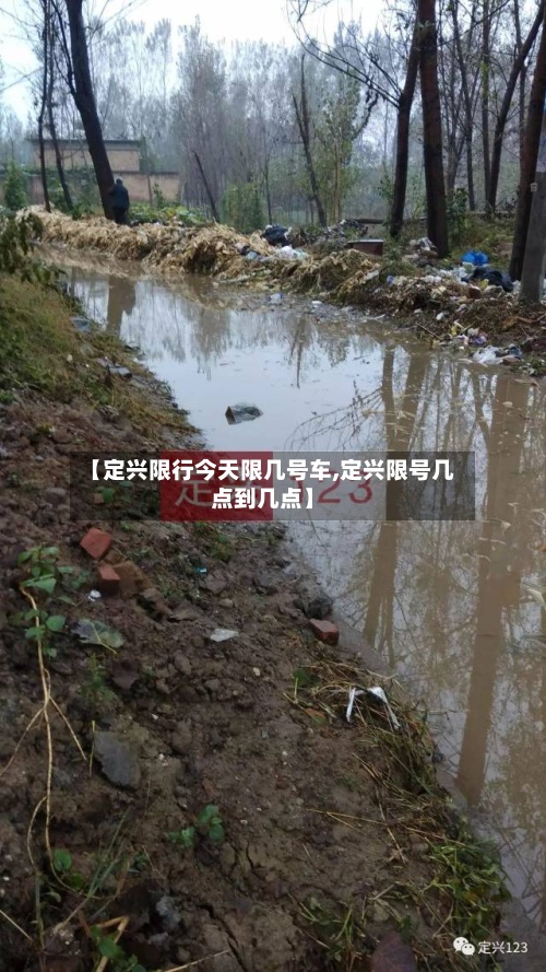 【定兴限行今天限几号车,定兴限号几点到几点】-第2张图片