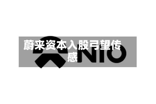 蔚来资本入股弓望传感-第1张图片