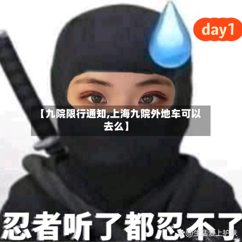 【九院限行通知,上海九院外地车可以去么】-第3张图片