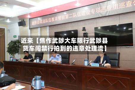 近来【焦作武陟大车限行武陟县货车闯禁行拍到的违章处理流】-第2张图片