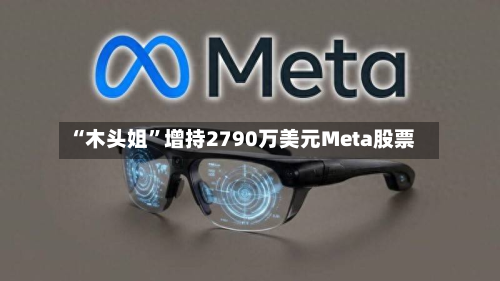 “木头姐	”增持2790万美元Meta股票-第1张图片