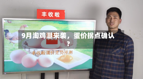 9月淘鸡潮来袭	，蛋价拐点确认？-第3张图片