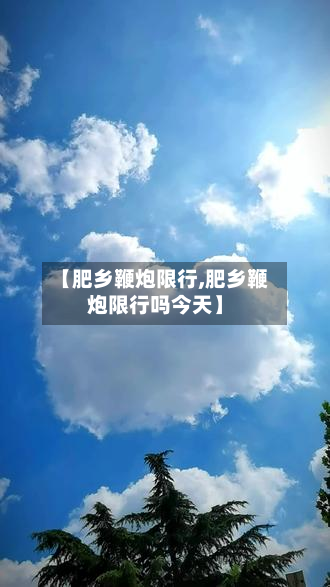 【肥乡鞭炮限行,肥乡鞭炮限行吗今天】-第2张图片