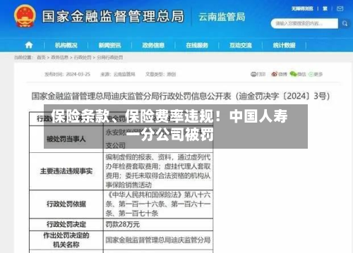 保险条款、保险费率违规！中国人寿一分公司被罚-第3张图片