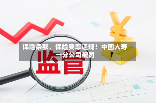 保险条款	、保险费率违规！中国人寿一分公司被罚-第2张图片