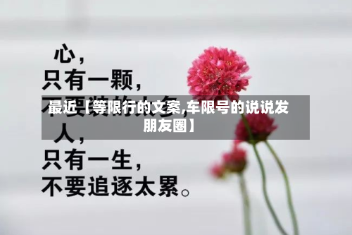 最近【等限行的文案,车限号的说说发朋友圈】-第1张图片