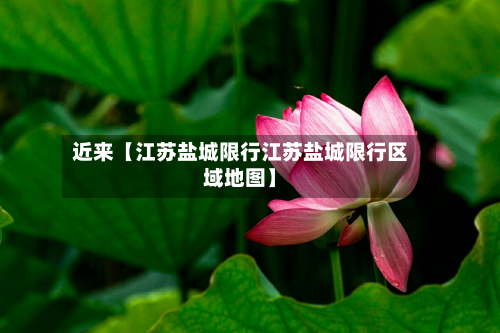 近来【江苏盐城限行江苏盐城限行区域地图】-第1张图片
