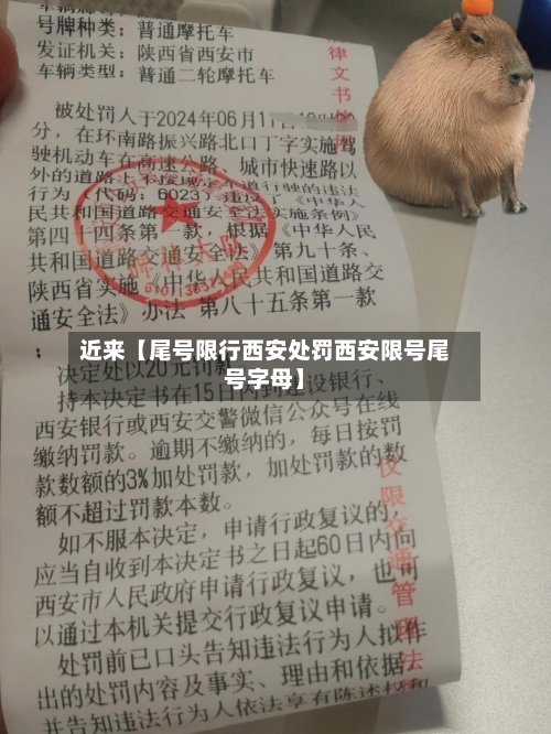 近来【尾号限行西安处罚西安限号尾号字母】-第2张图片