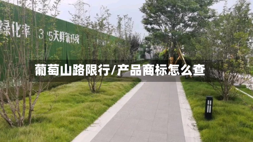 葡萄山路限行/产品商标怎么查-第1张图片