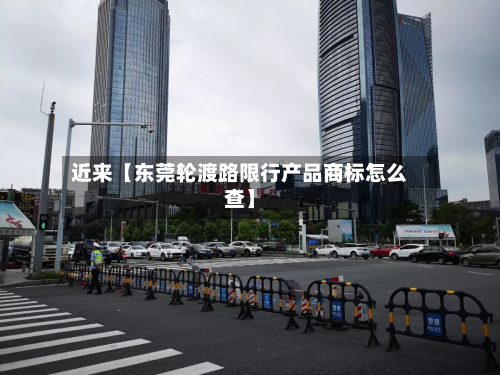 近来【东莞轮渡路限行产品商标怎么查】-第2张图片