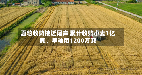 夏粮收购接近尾声 累计收购小麦1亿吨、早籼稻1200万吨-第2张图片